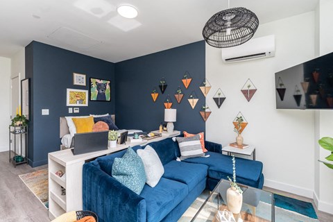 a living room with a blue couch and a blue accent wall